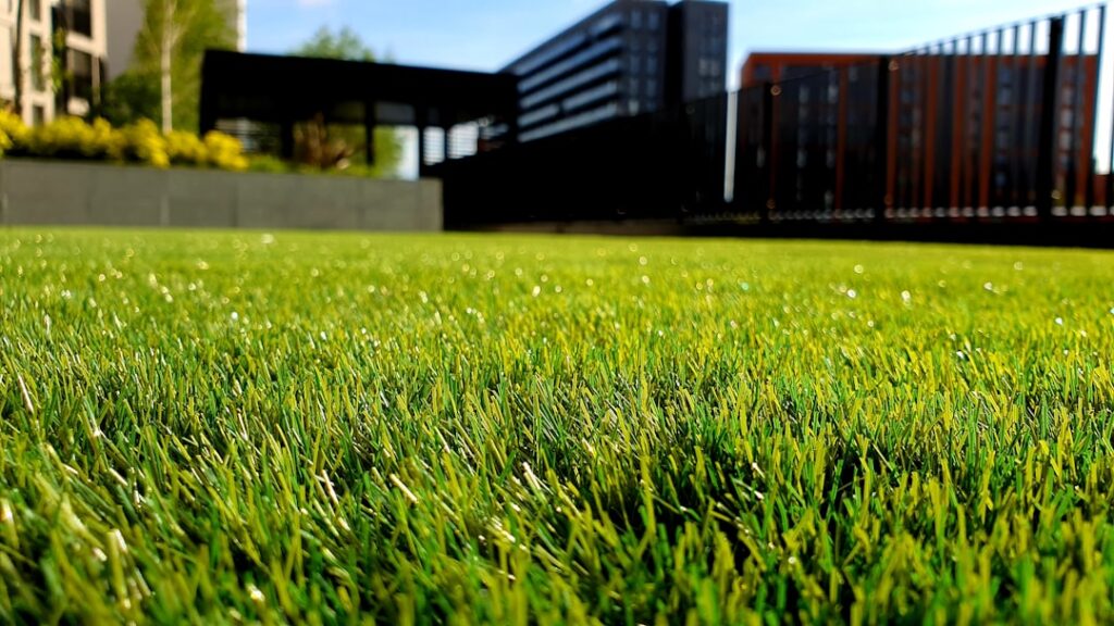 Photo Lawn Mower