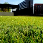 Photo Lawn Mower