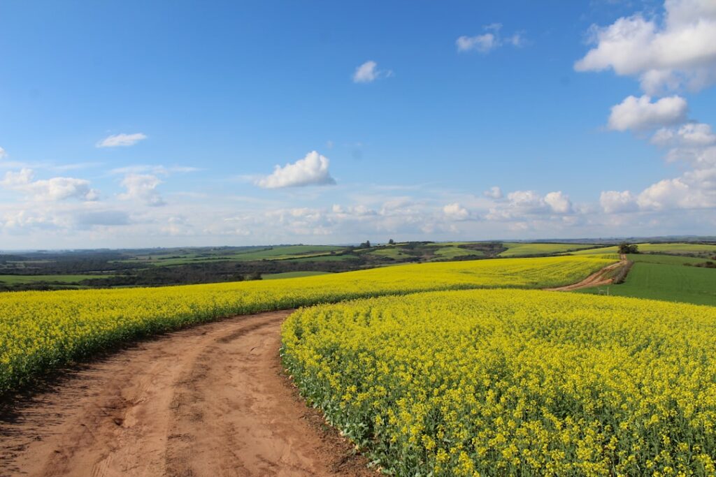 Photo countryside landscape