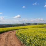 Photo countryside landscape