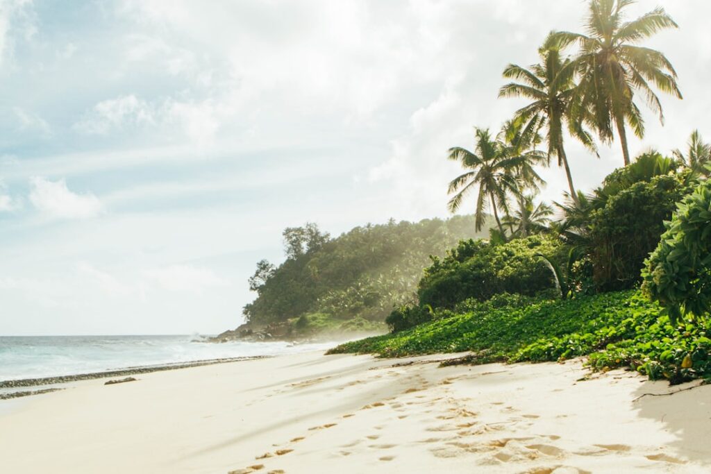 Photo Beach view